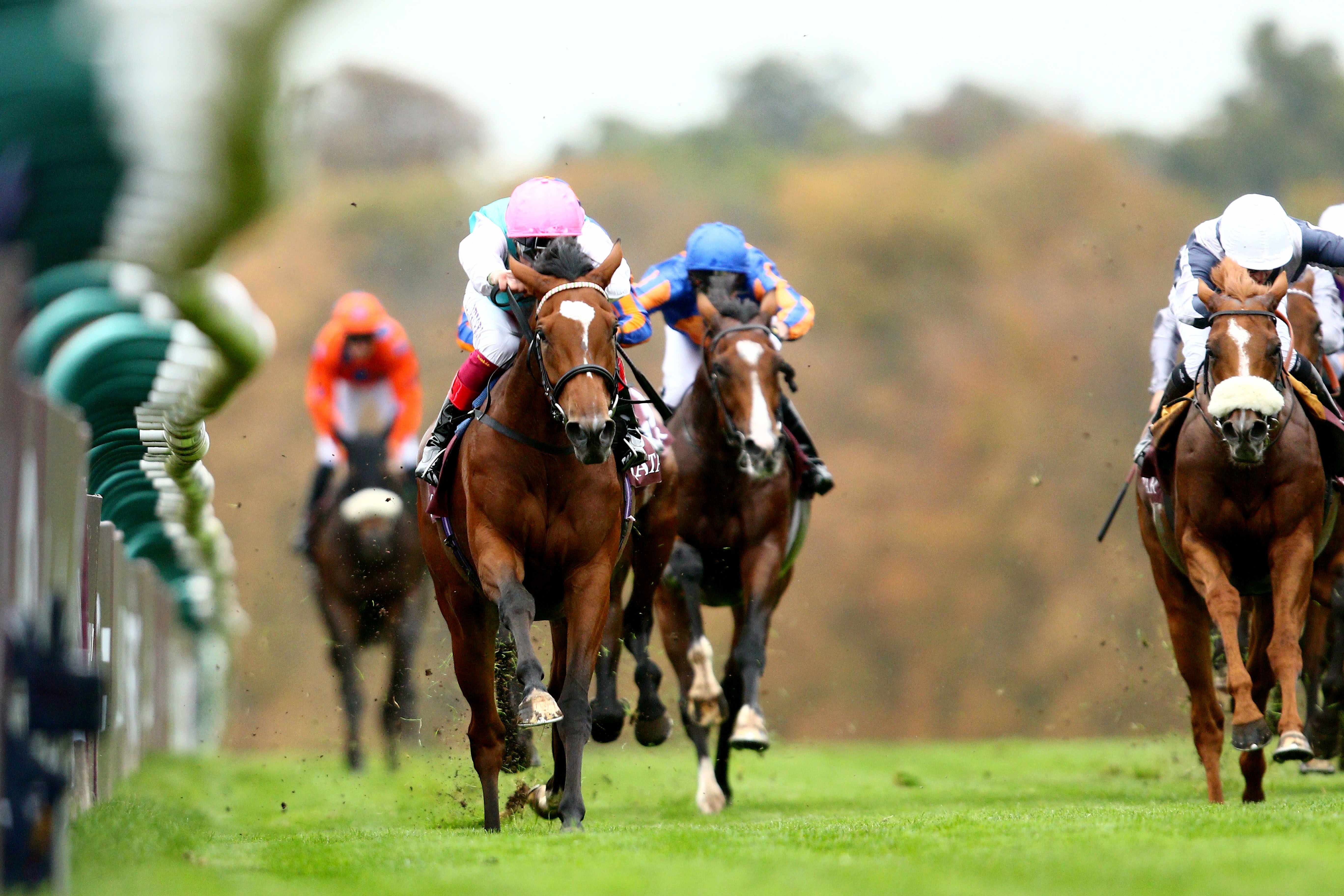 16++ Horse racing results today longchamp best advice