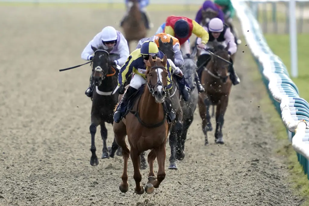 Friday's UK & Irish Horse Racing Bets 2