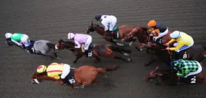 Horse Racing Tips 1733