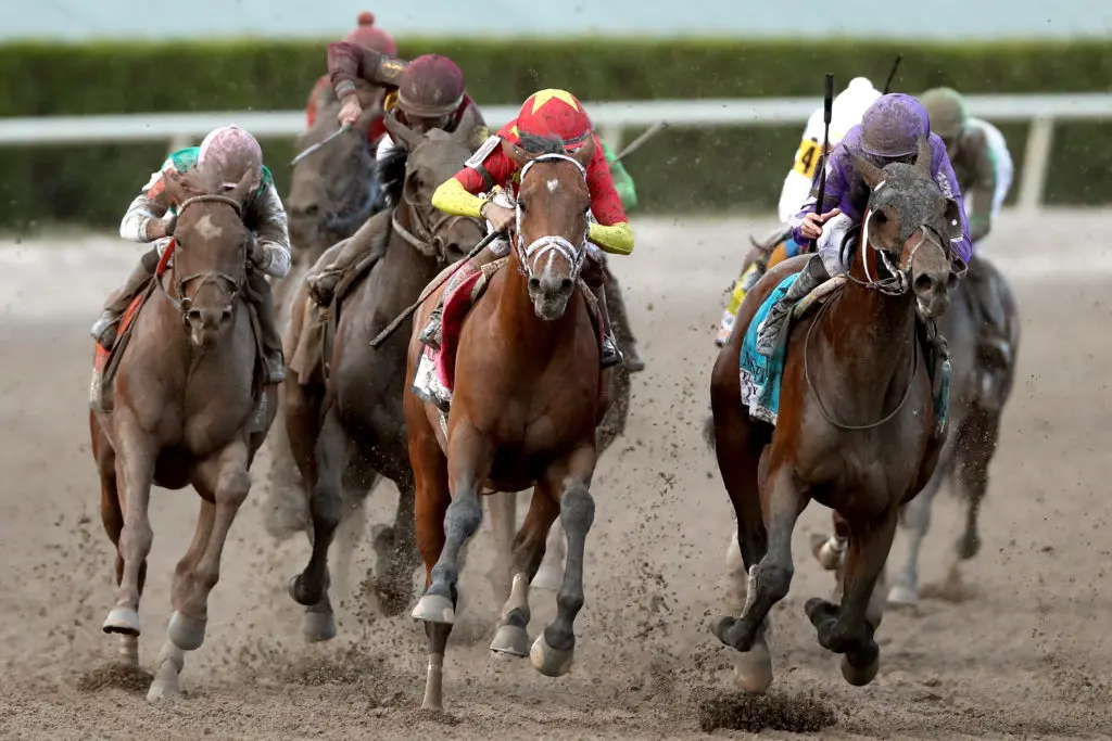 Wednesday's Best US Horse Racing Bets 1