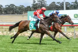Grafton Tips 20