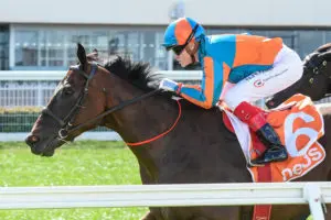 Horse Racing Multiples 7
