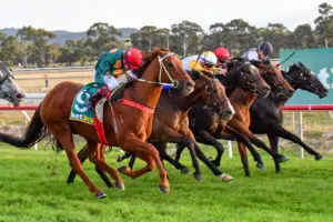 Bendigo Tips 14