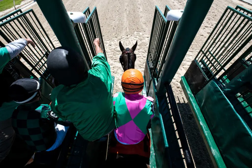 Saturday's American Horse Racing Tips 1