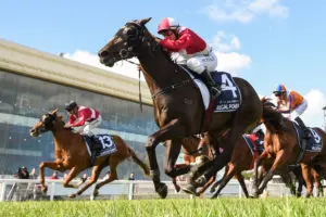 Townsville Tips 5