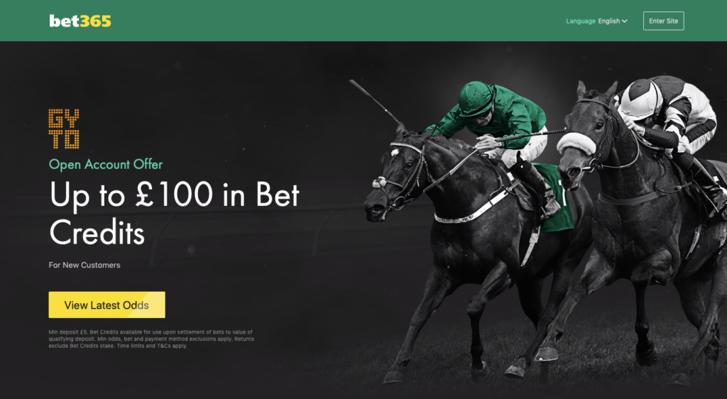 Top Bet365 features for the York Ebor Festival 2