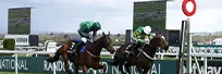 Home 2086 Betting Tipsimage