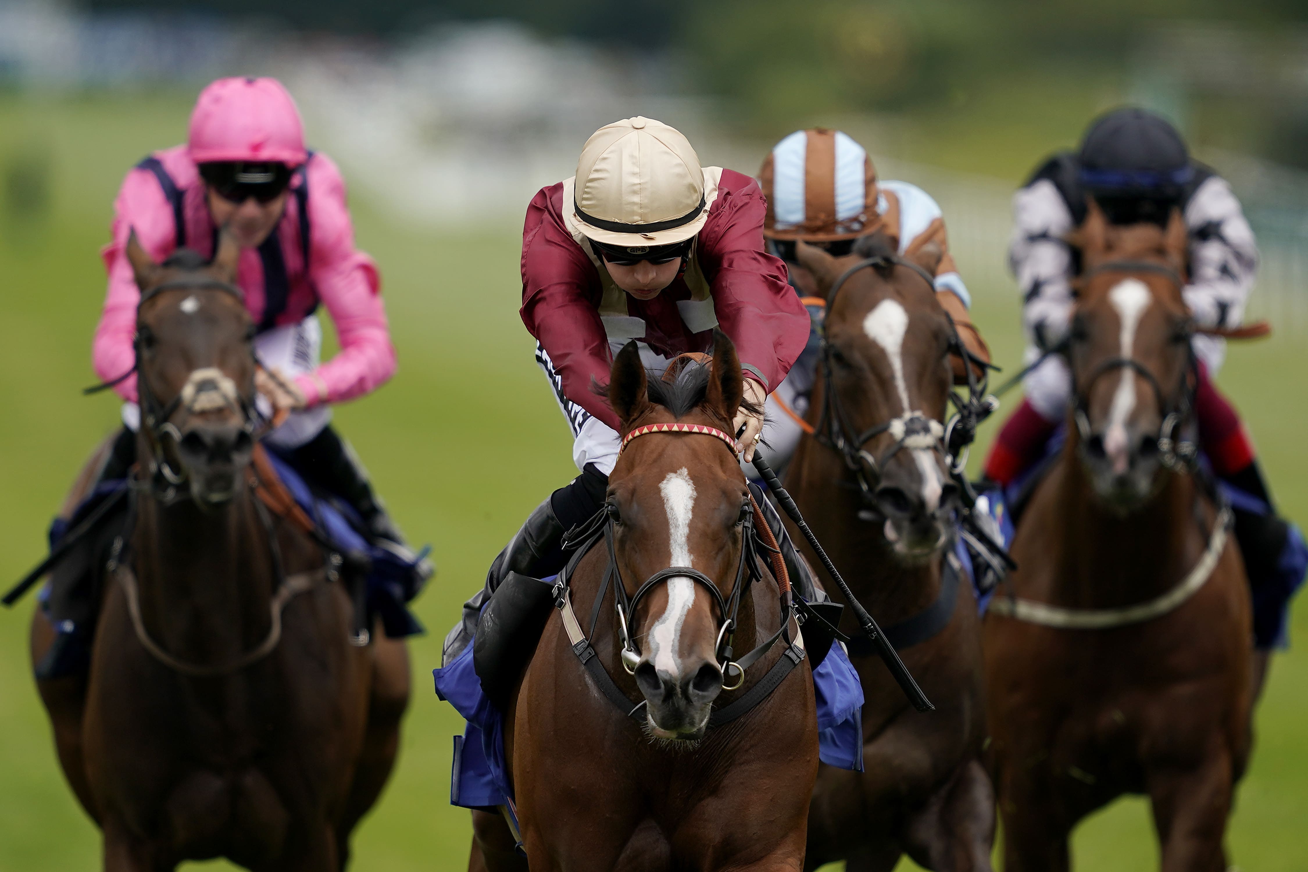 horse racing betting jargon explained synonym