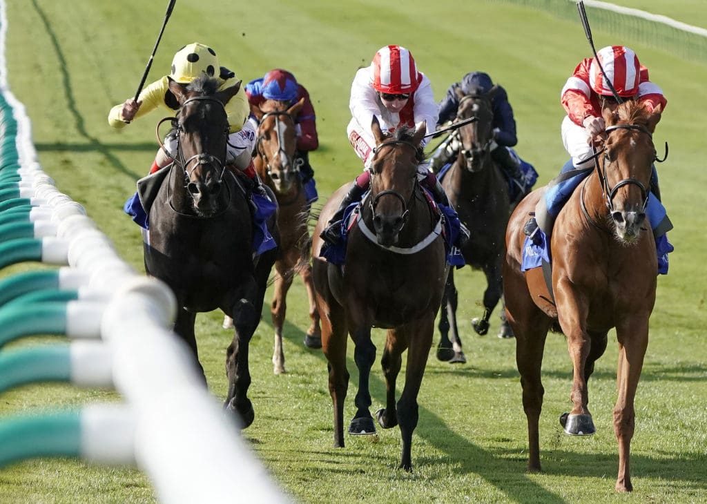Npo1 Racing ITV Racing Friday Tips and Previews | GetYourTipsOut