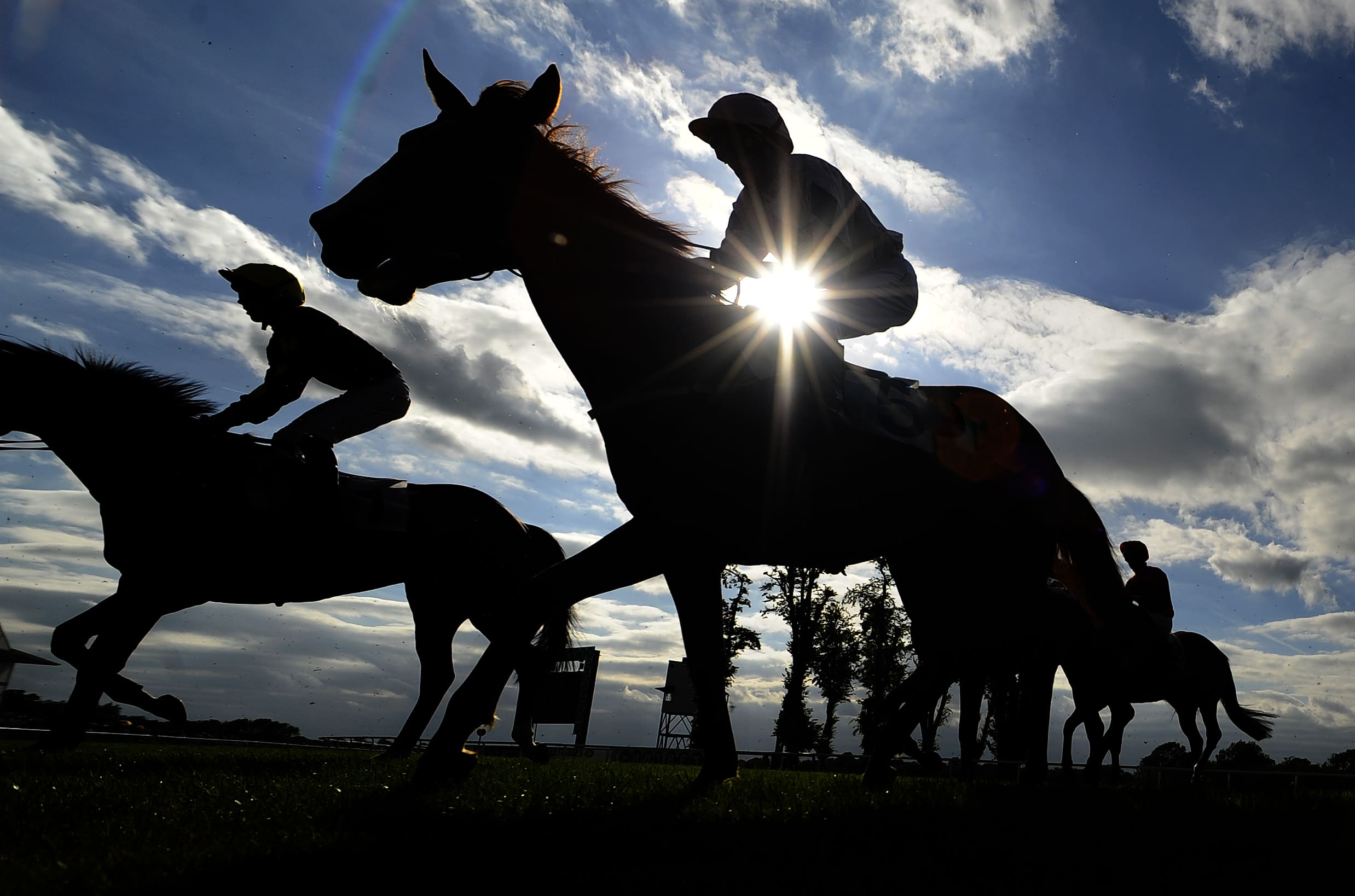 Monday’s Best South African Horse Racing Bets GetYourTipsOut