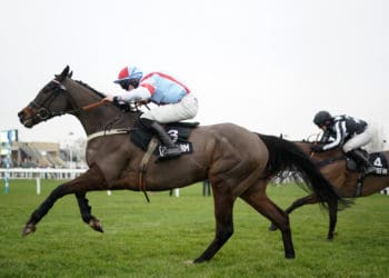 Paddy power horse racing betting today Paddy power horse racing betting today
