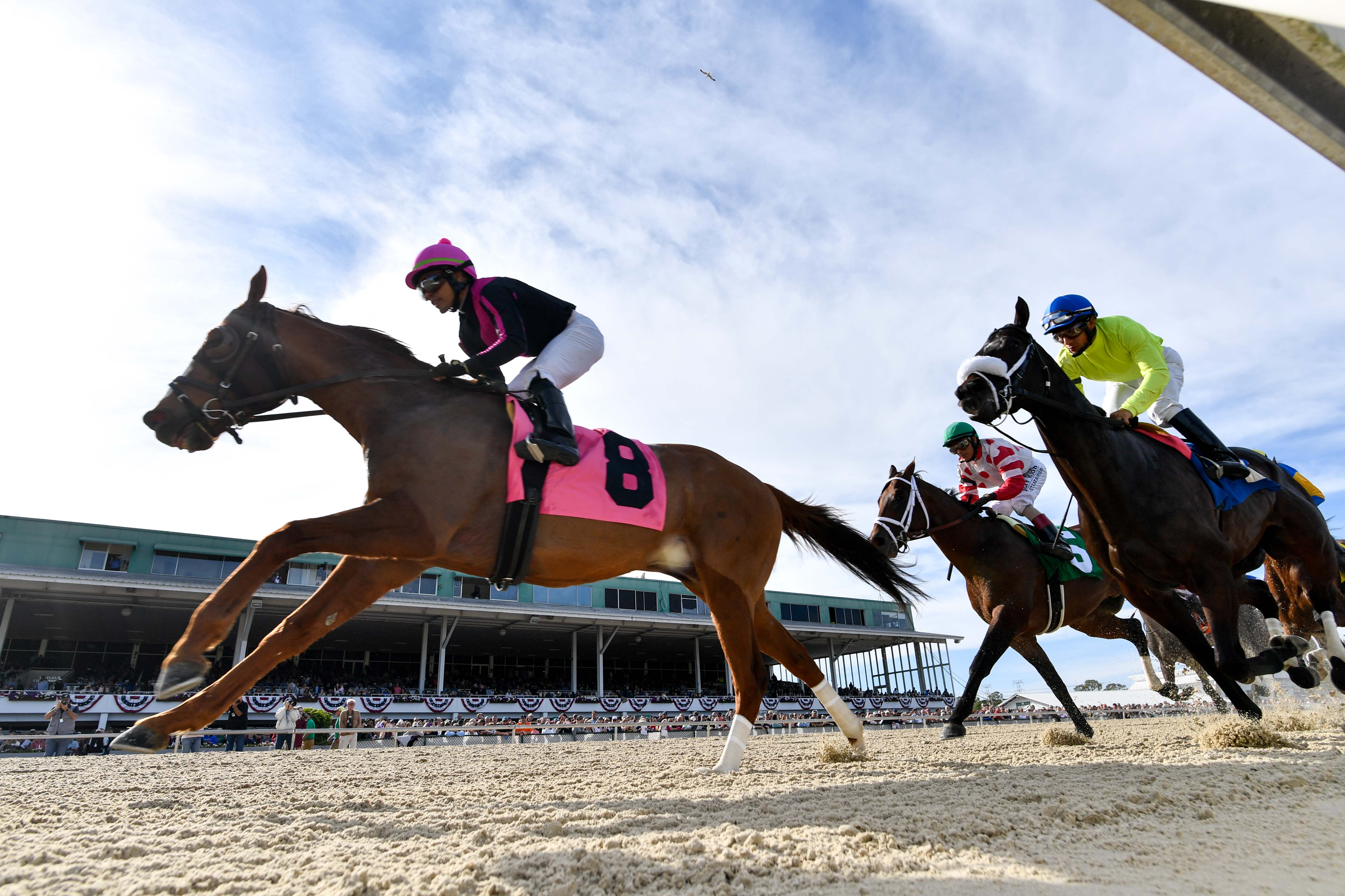 Tuesday's US Horse Racing Notebook Selections | GetYourTipsOut